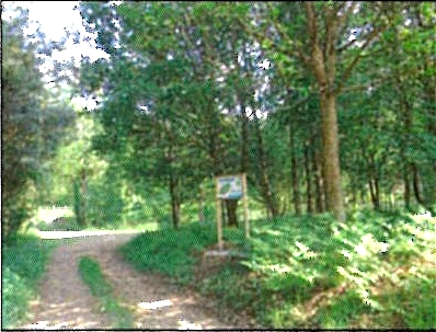 Parc des Hunaudières