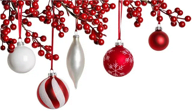 Animation Noël et Voeux 2025