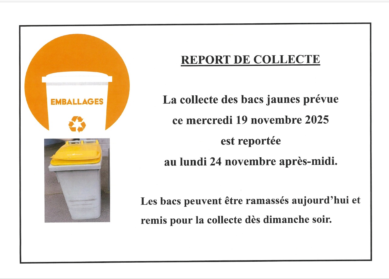 Report collecte bac jaune