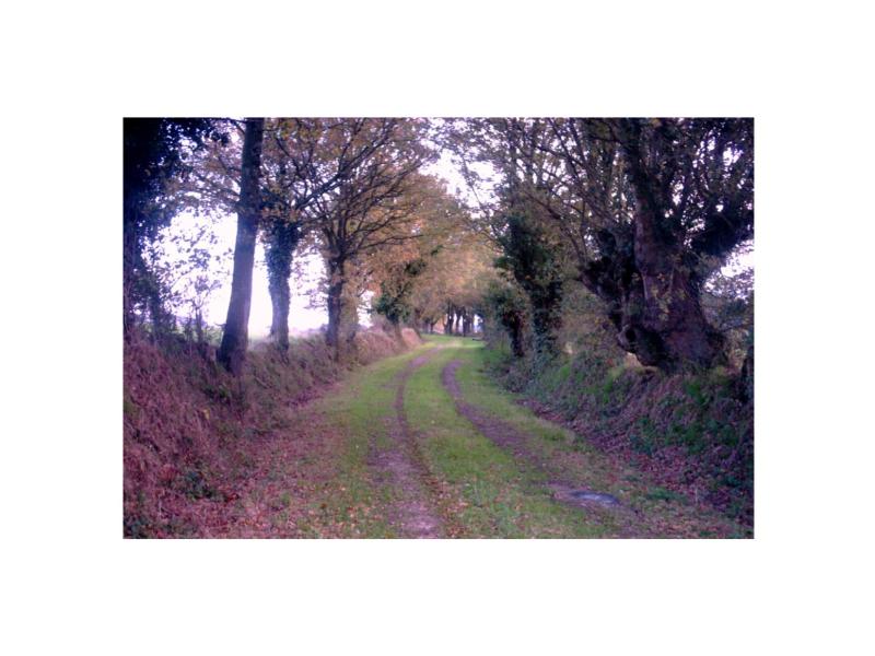 Chemin de la Reine Anne