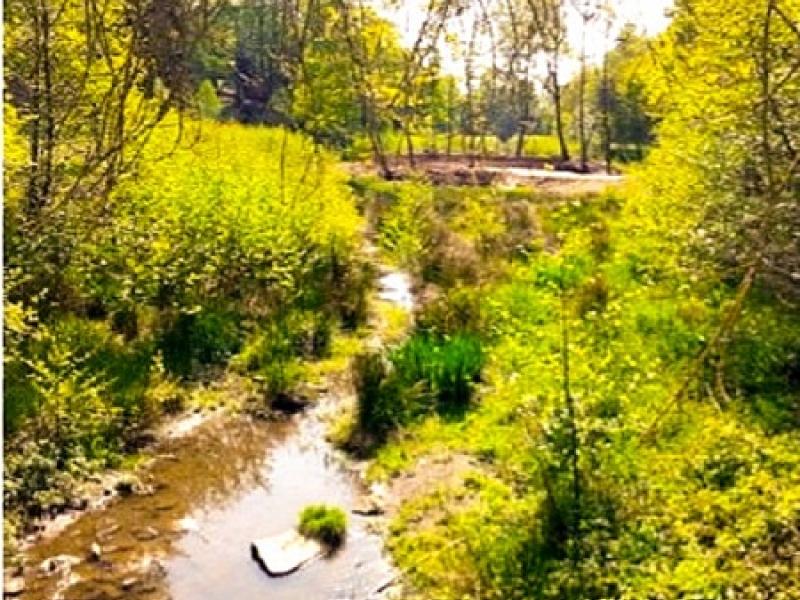 Aménagement parc des Hunaudières